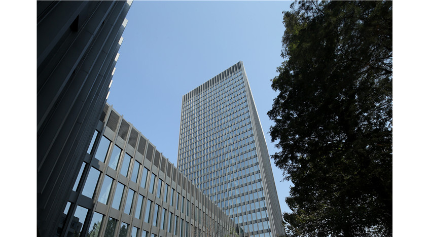 Image Caption